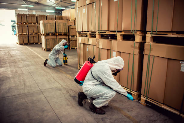Best Pest Control Near Me  in Kenvil, NJ