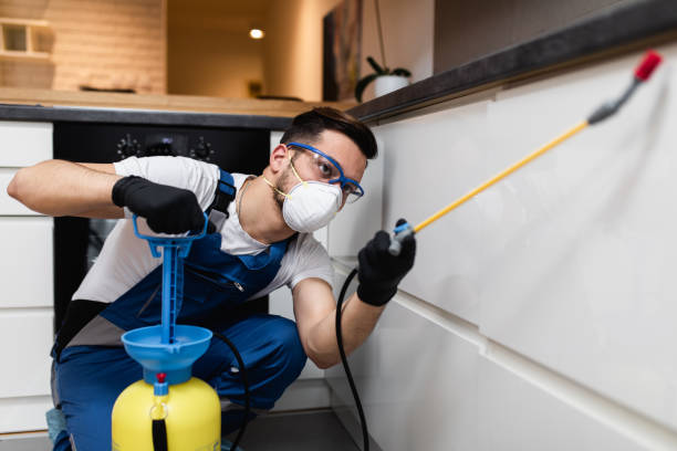 Best Pest Control for Businesses  in Kenvil, NJ