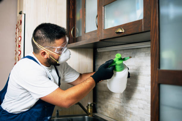 Best Best Pest Control Companies  in Kenvil, NJ