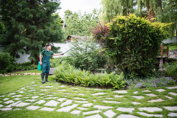 Best Affordable Pest Control Services  in Kenvil, NJ