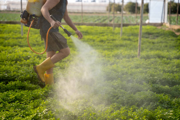 Best Pest Removal Services  in Kenvil, NJ
