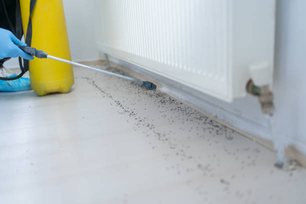 Professional Pest Control in Kenvil, NJ